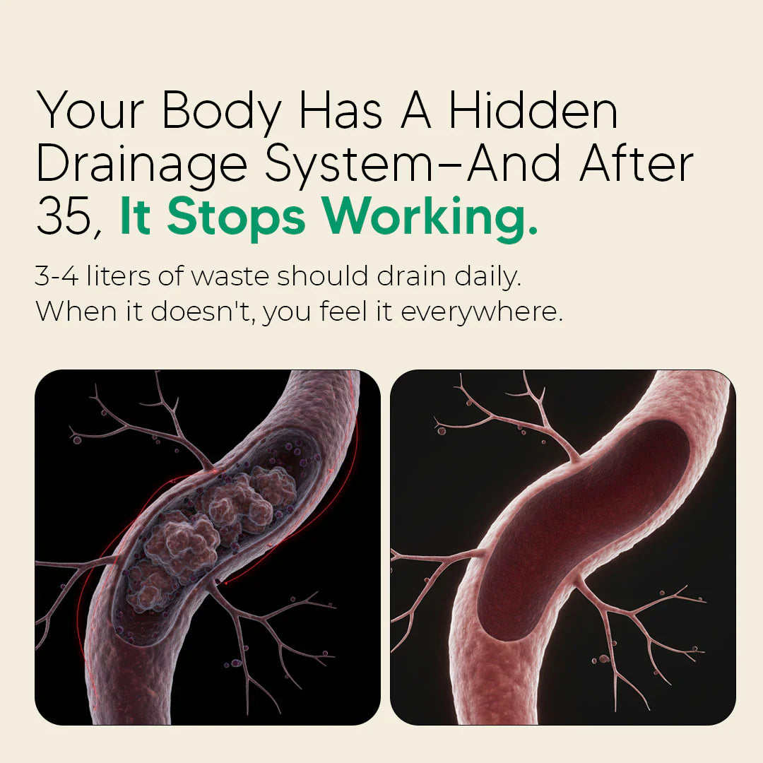 New Maximum Potency Formula - Lymphatic Drainage Drops by Noriva™
